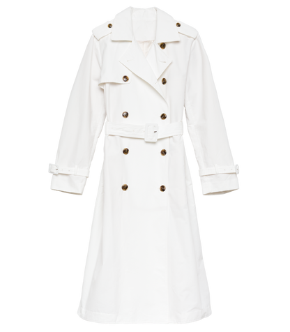 AMHERST TRENCH -- SALT